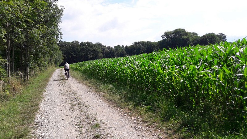 Wandelroute : De vijvers van Crosagny