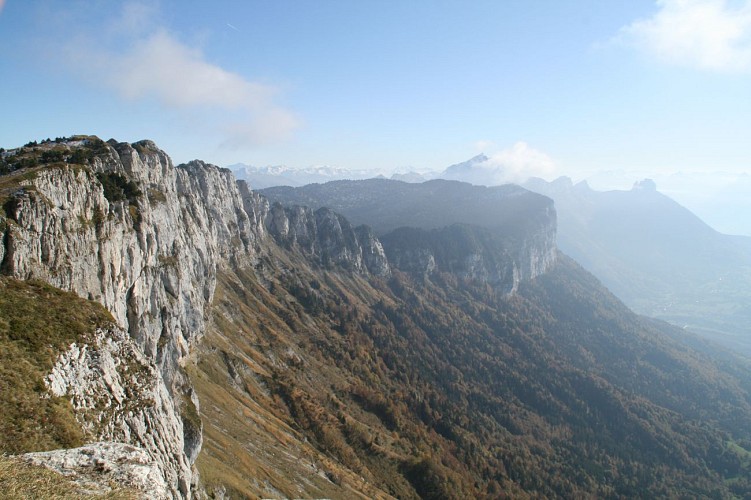 Wandellus : Parmelan