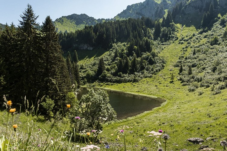 Hiking trail : Lake Damoz des Moulins_Saint-Jean-d'Aulps