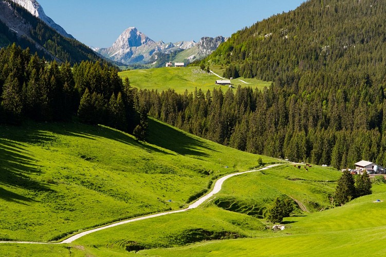 Tour of the Glières plateau in 3 days