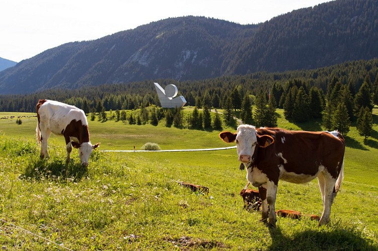 3-daagse tocht op het Plateau des Glières