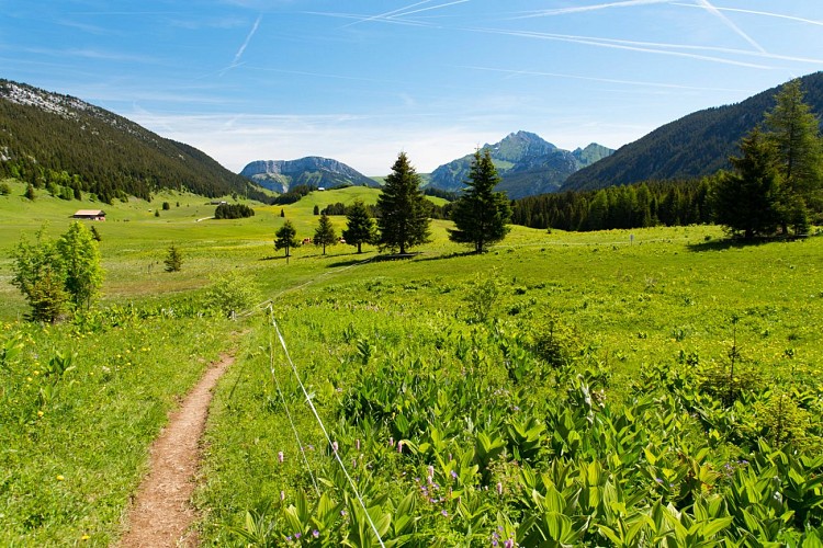 3-daagse tocht op het Plateau des Glières