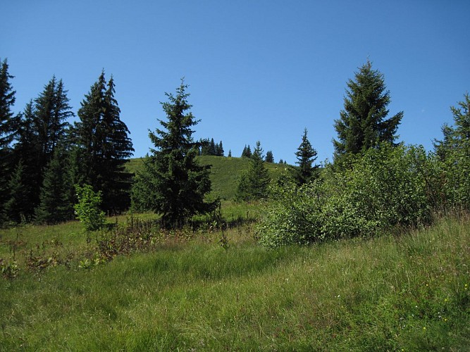 Sentier du Tétras-Lyre