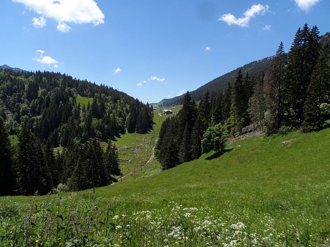 Tom Morel historical walking trail