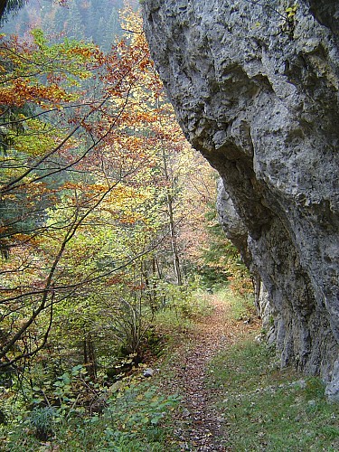 Tom Morel historical walking trail