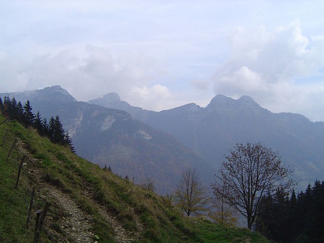 Tom Morel historical walking trail