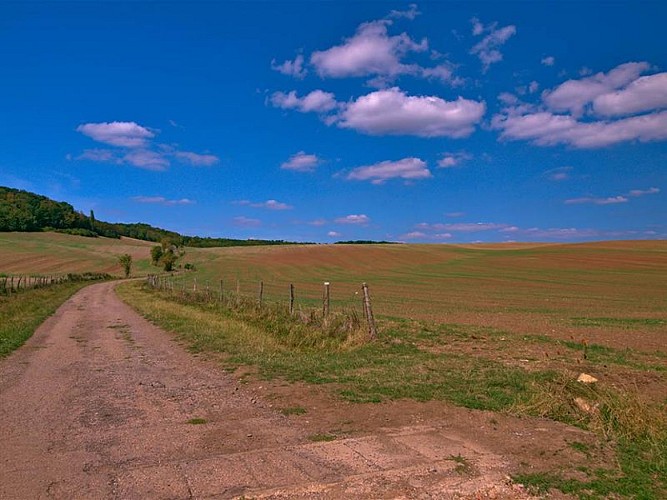 ENTRE FORÊT ET PRÉS SALÉS