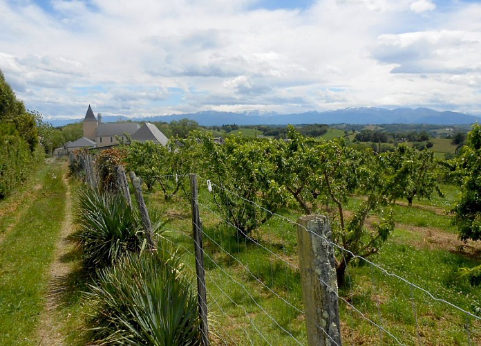 Vignobles de Cuqueron