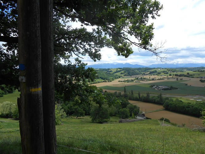 Vignobles de Cuqueron