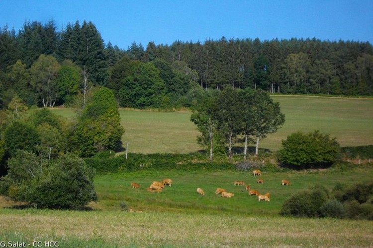 Water, fallen from heaven