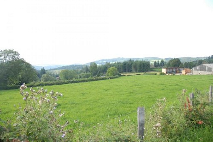 Paysage de St Igny de Vers