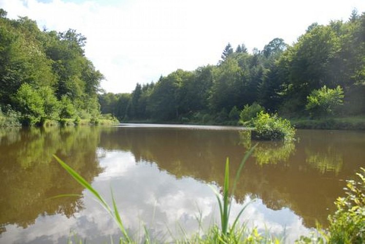 Plan d'eau la Vendenesse