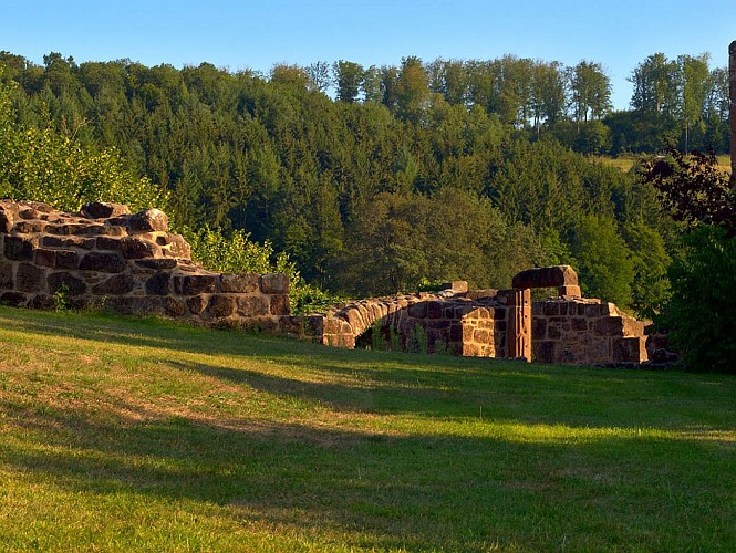 Vue depuis le château de Weckersburg, Walschbronn