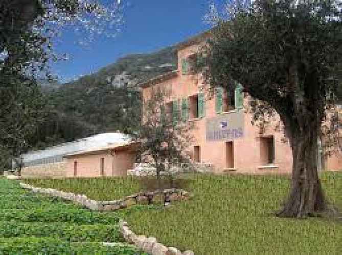 Saint-Paul-de-Vence, Tourrettes-sur-Loup et Gourdon