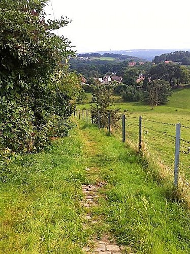 Découvrir la rive gauche de Flémalle en 11 km