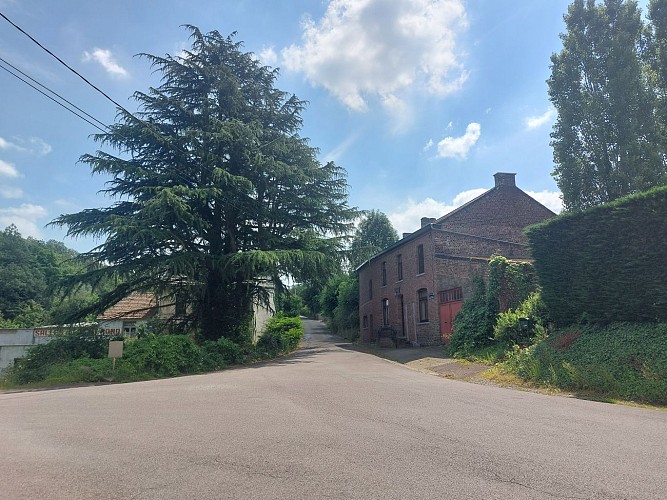 Falisolle 26.06.24. (3)