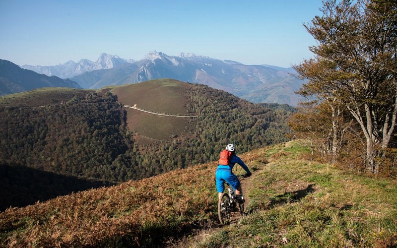 VTT N°31 - Tour Bergout Ichantes Jaupins