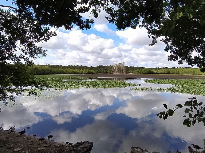 PARIGNE-L'EVEQUE / Les étangs de Loudon