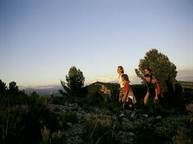 Ceyreste : Promenade dans les collines