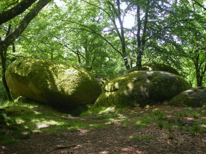 GRP® des Monts de Blond : étape 2 : Mortemart - Blond