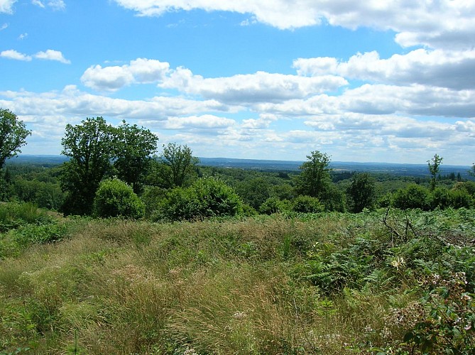 GRP® des Monts de Blond étape 2 : Mortemart - Blond_4