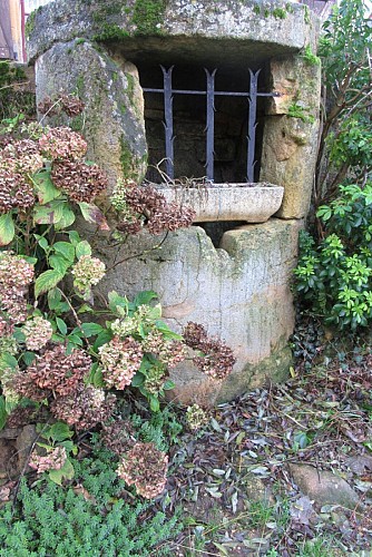 Boucle de la Fontaine des graves: sentier de la Gargagnasse