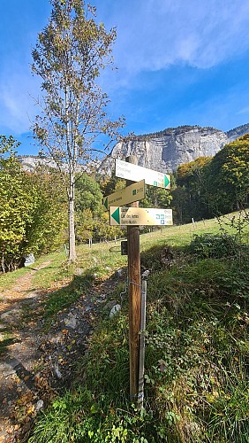 Sentier pédestre : promenade d'Arpenaz à Luzier