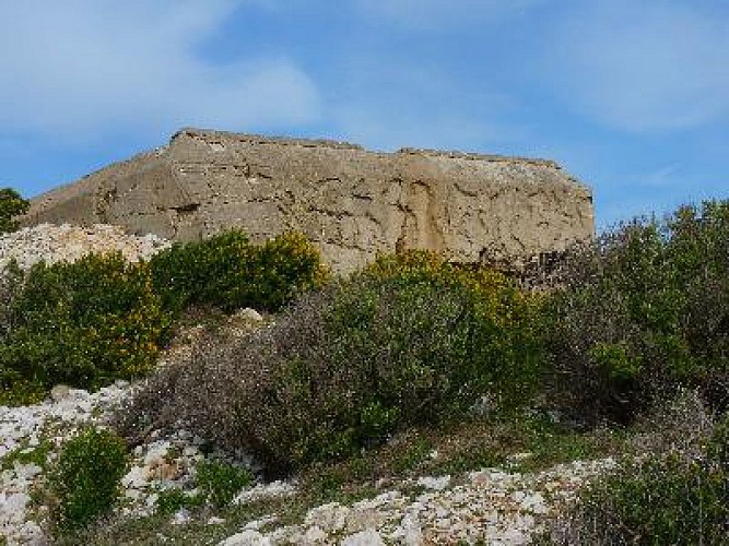 Martigues : découverte du Cap Couronne