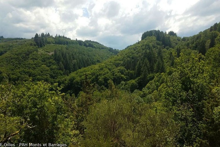 Grand circuit des gorges de la Vienne