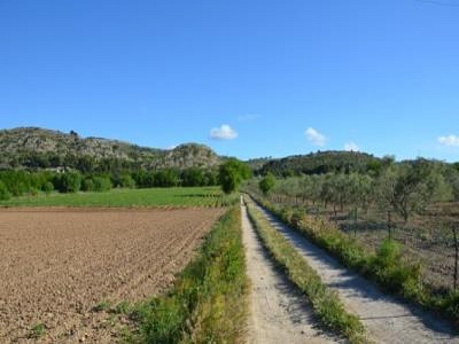 Pélissanne : Cycle entre ville et campagne