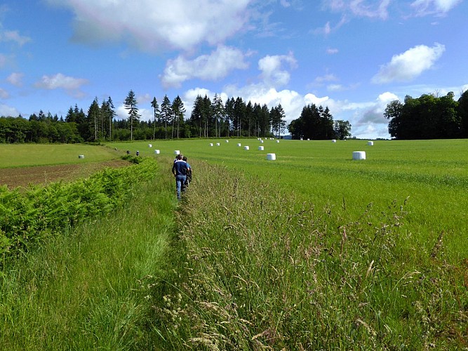 LES BILLANGES Rando SIT(2) © CBC