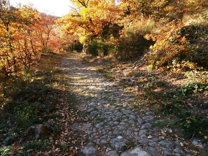 Circuit Uni'Vert Trail n°3 "Via Agrippa"_1