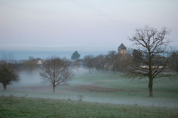 Entre collines et ruisseaux