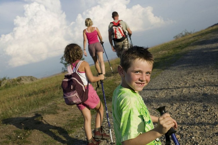 La forêt de la Chapelle aux Brocs_1