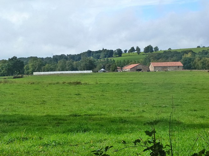 Sentier d'interprétation de l'île de Navière_4