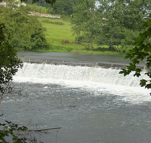 Sentier d'interprétation de l'île de Navière_6