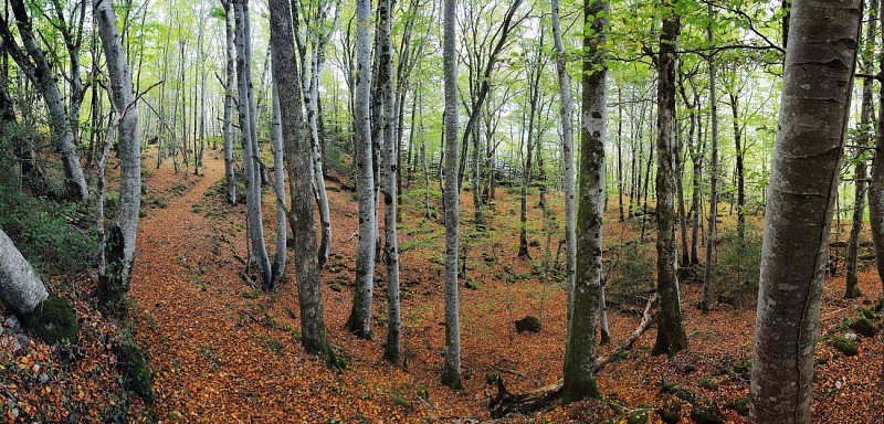Randonnée sous les orgues ©Josselin Mathiaud