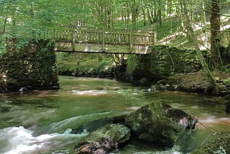 Passerelle sur le Briance