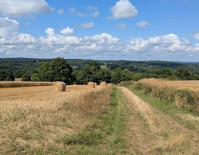 Glanges sentier du Theillaumas vue horizon4