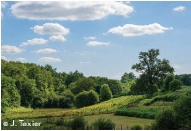 sentier de randonnée des aurières le chalard_2