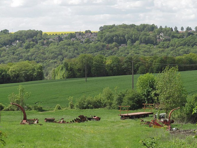 Bois Bréau variante courte