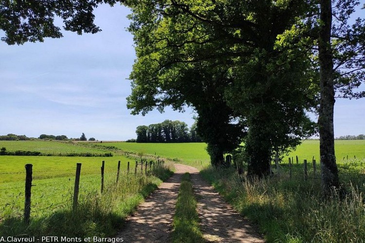 Sur le chemin du Puy la Brousse