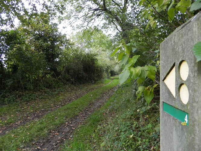 Panneau de randonnée sur les chemins de Courcemont