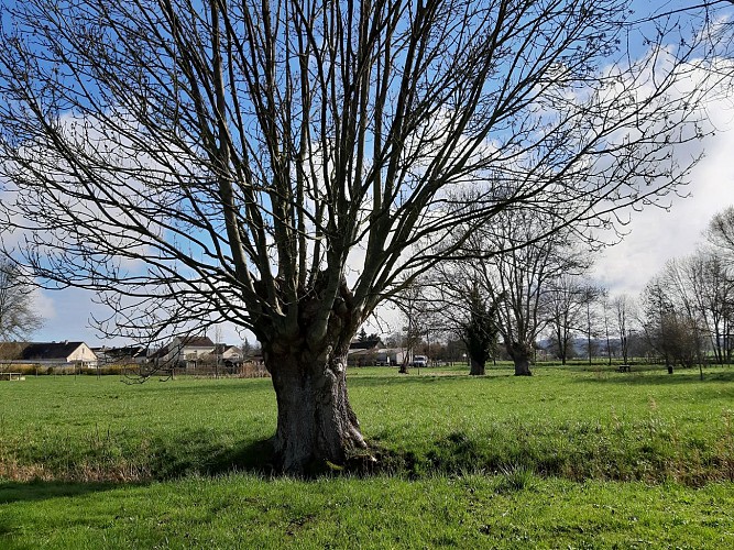 Trogne-Espace Verno Vici - St Cosme en Vairais
