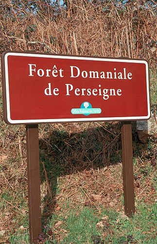 Forêt Domaniale de Perseigne