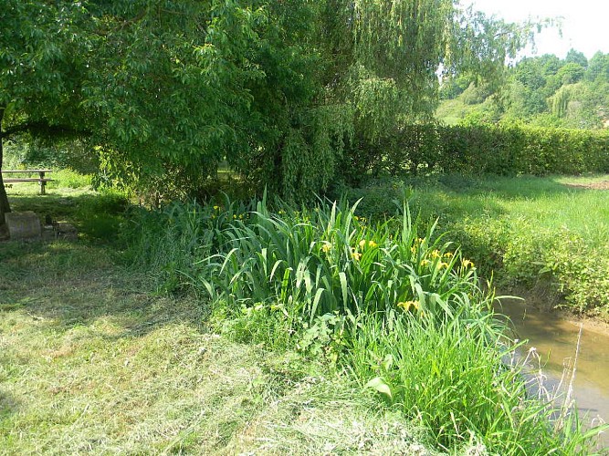 ITI72-orne-champenoise-voivres