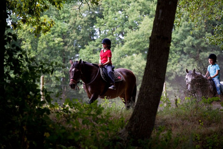 vallee-de-la-sarthe-enfant-cheval-ITI-72