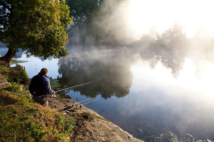 Pêcheur à Fercé-sur-Sarthe