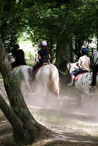Vallee-de-la-sarthe-chevaux-mesangeres-iti-72