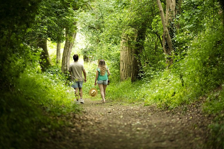 Randonnée à Asnières-sur-Vègre